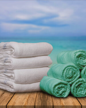 Micro Cotton Bath Towel + Face Towel Combo | Free Shipping