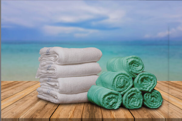Micro Cotton Bath Towel + Face Towel Combo | Free Shipping